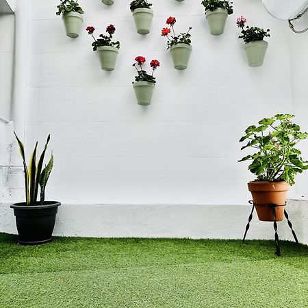 شقة Blue & Green قرطبة المظهر الخارجي الصورة